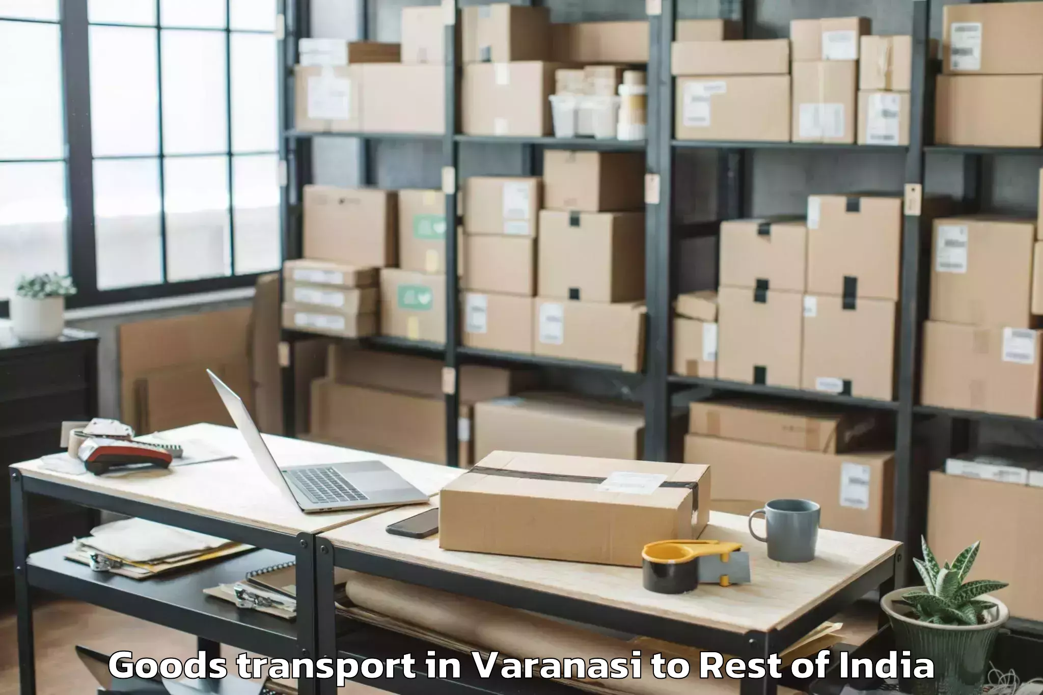 Professional Varanasi to Mujaltha Goods Transport